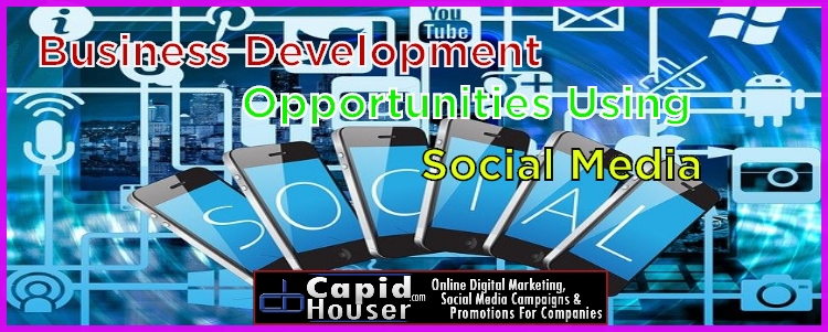 business develoment opportunities using social media