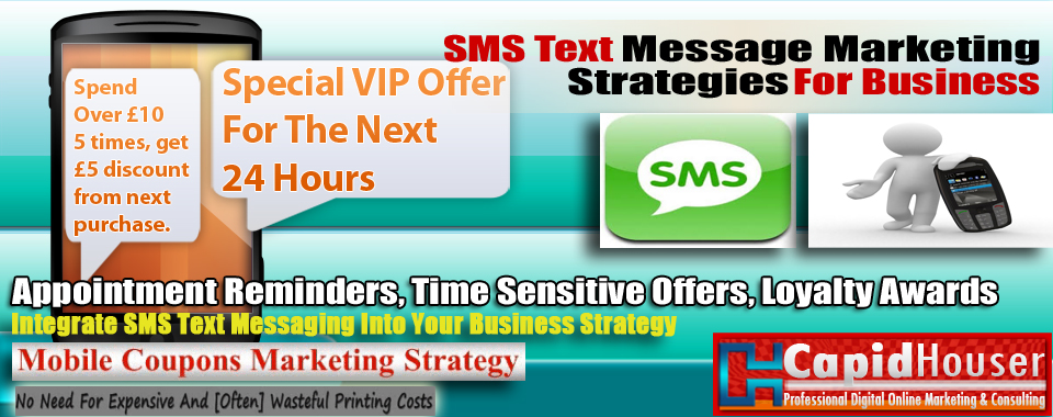 sms text message marketing strategies for business