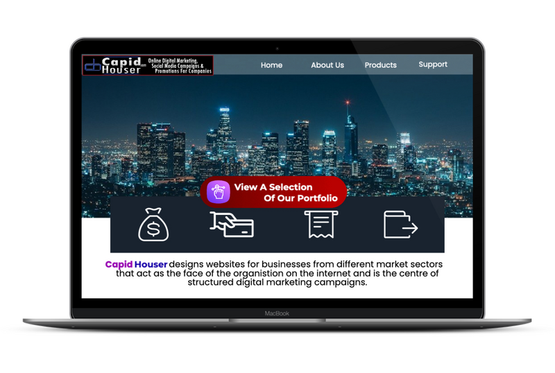 Website Design And Development Portfolio For Businesses